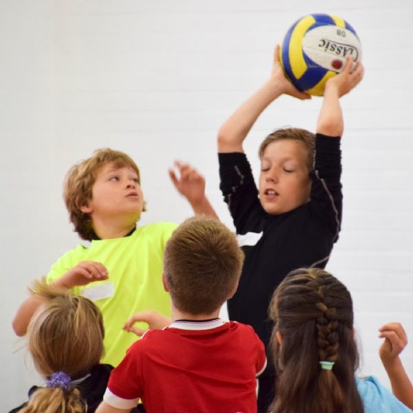 Sports Camp (Large)